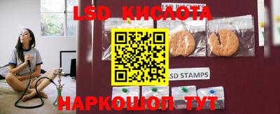 гидропоника Можга