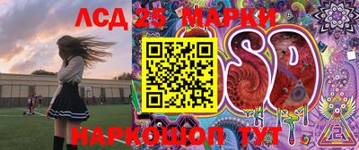 гидропоника Можга