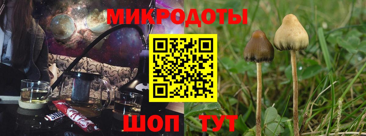 Урюпинск  Псилоцибиновые грибы Magic Shrooms  Вход с VPN 